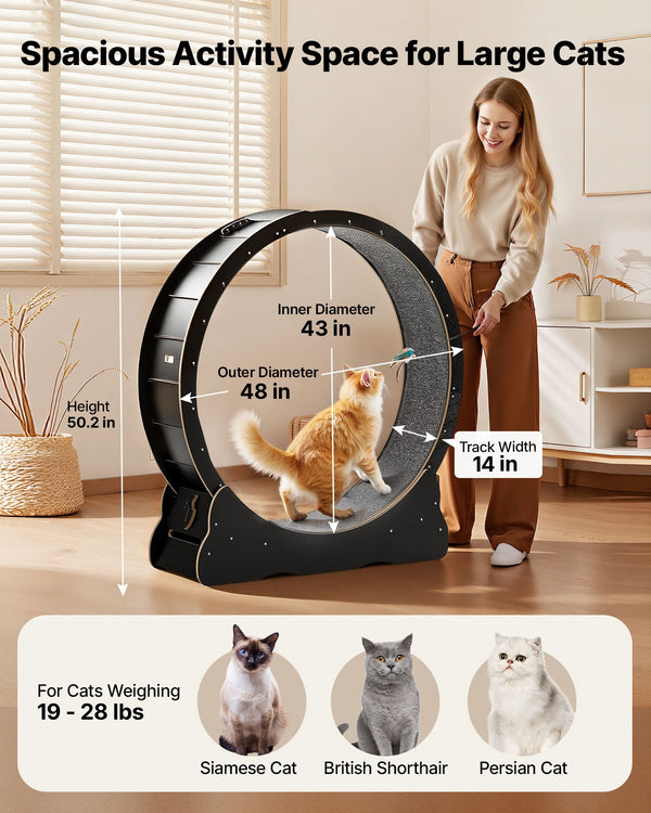 Cat Exercise Wheel, 120 cm Wooden Cat Running Wheel for Indoor Cats up